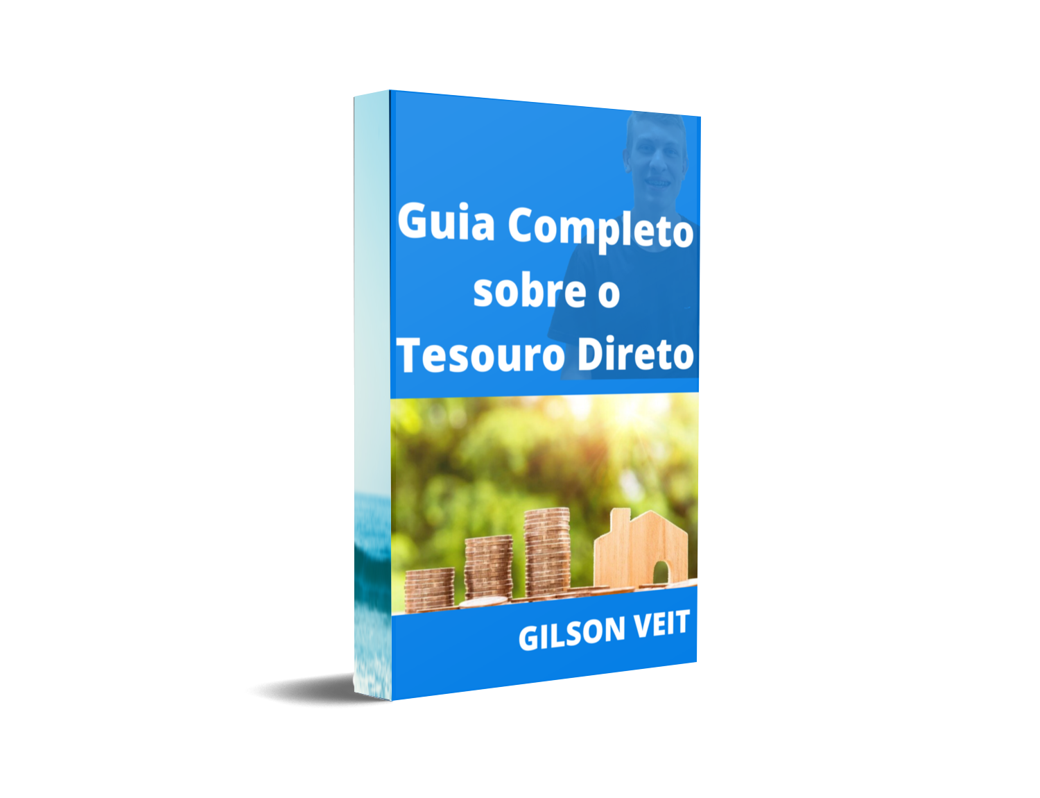 Capa Ebook Gratuito Guia Completo Sobre O Tesouro Direto - Download